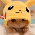 Avatar of Noor Fatima